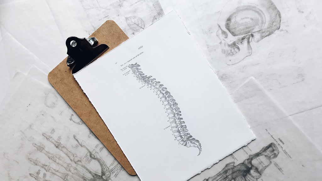 Back pain while losing weight